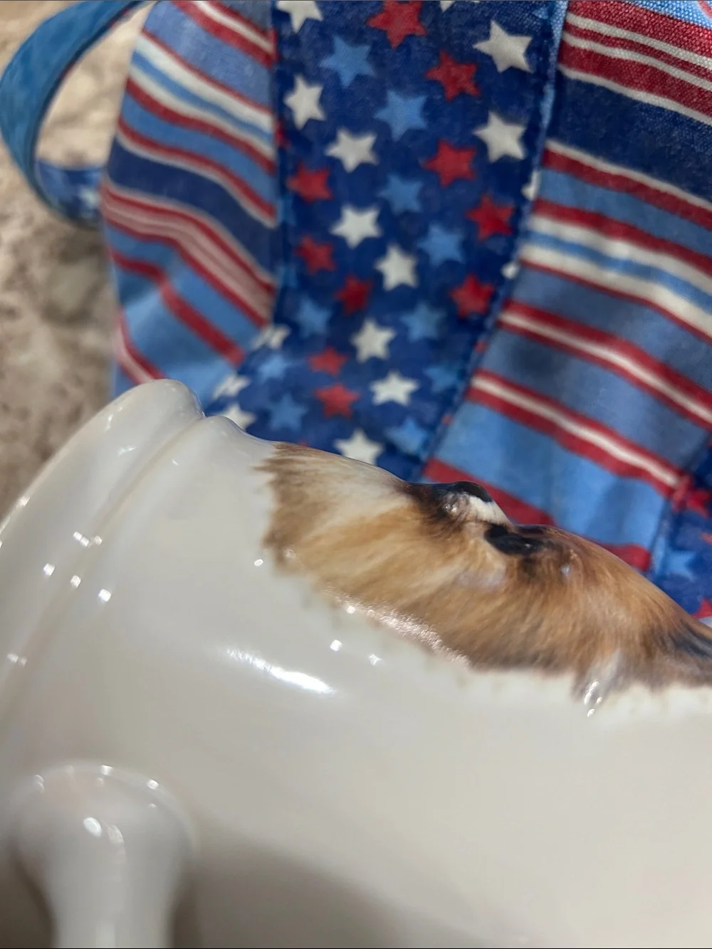 Vintage Ceramic Mug with Pomeranian 3D Face - 1 small chip on bottom see pics